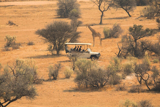 Jipe de safari na savana africana com girafas ao entardecer
